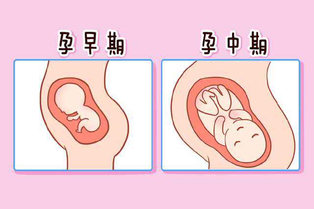 深圳供卵子试管婴儿,深圳供卵三代试管婴儿流程
