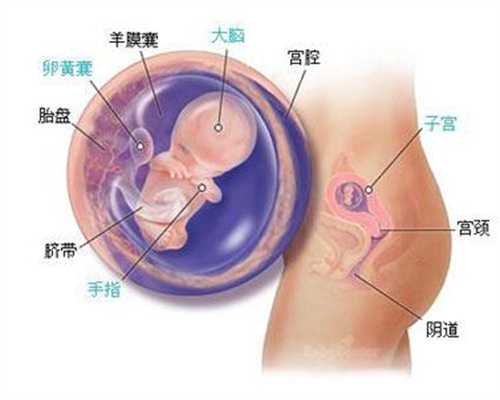 代孕期下面会有褐色的分泌物，是怎么回事？
