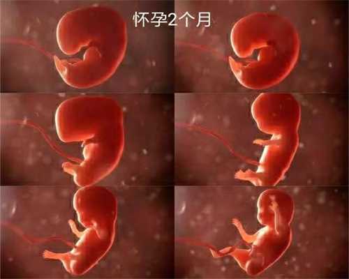 6个月胎儿被确诊为畸形，父母得知原因后肠子都