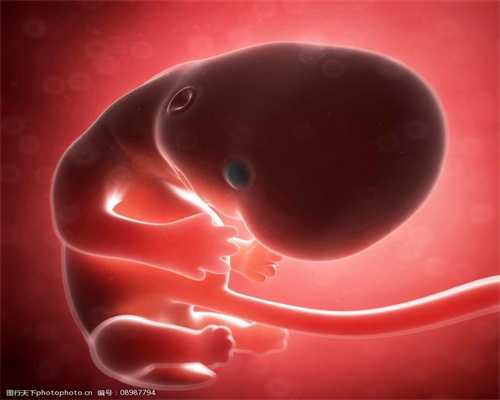 胚胎放入子宫游走图片-深圳代孕费用 -胚胎早期