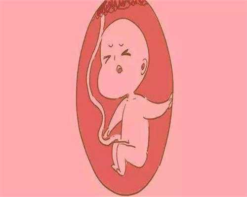 深圳代孕大约多少钱,助你好孕网：试管婴儿到底