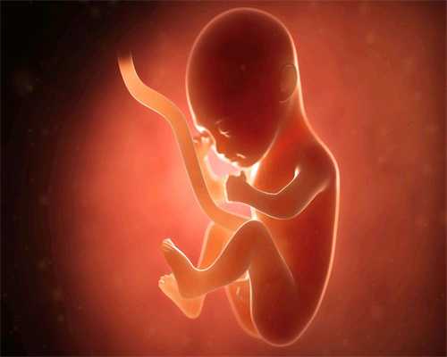 深圳代孕能挣多少钱,胎儿第二十九周的发育情况