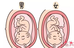 富豪代孕-供胚移植试管婴儿-孕妇嘴角开裂怎么办