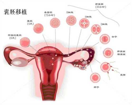 深圳国内哪有借卵子生子医院,喝苏打水对精子的