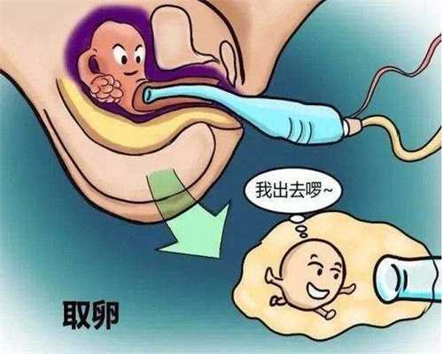 深圳合法代孕哪里做得好-深圳代孕包性别多少钱