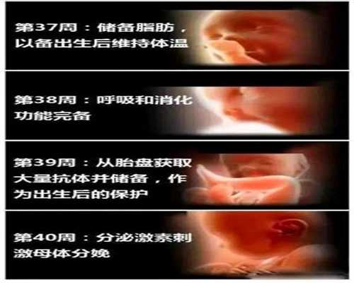 寻代孕产子~温州中介机构服务管理平台代孕期间