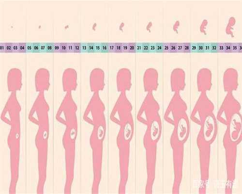 北京五洲妇儿医院代孕专家告诉您：代孕宝宝湿疹的症状和