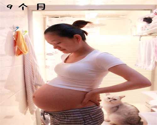 深圳借腹生子代生,62岁妇女产双胞胎创亚洲记录