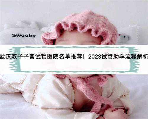 武汉双子子宫试管医院名单推荐！2023试管助孕流程解析