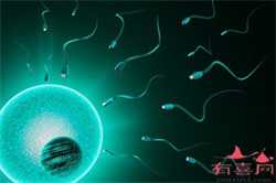 武汉有什么办法助孕，武汉试管婴儿成功率受什么影响？
