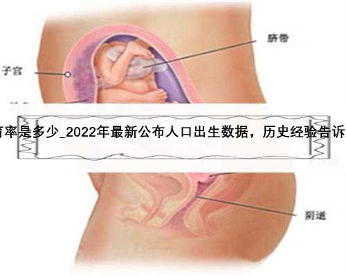 中国2021生育率是多少_2022年最新公布人口出生数据，历史经验告诉我们不用悲观